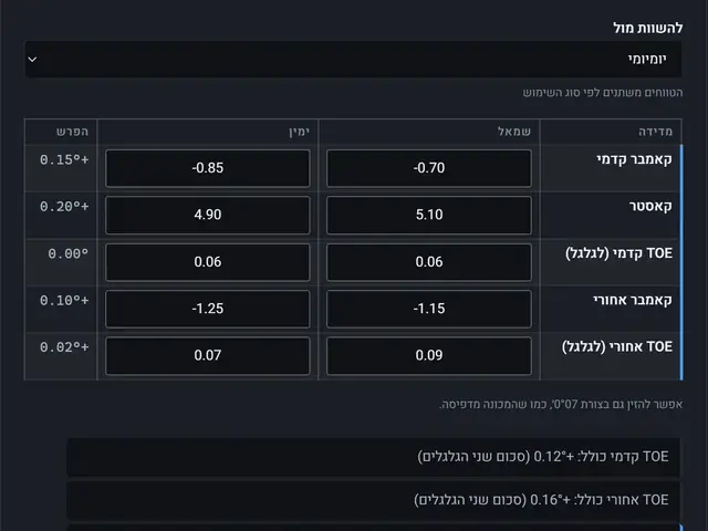מסך מפענח דוח הכיול: שדות להזנת המספרים מהתדפיס וסימון חריגות
